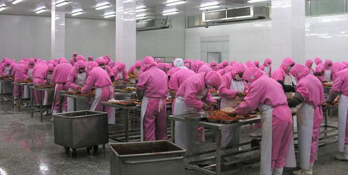 食品加工廠潮濕環(huán)境下橡膠制品的維護(hù)與解決方案